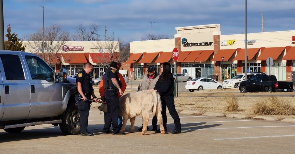 Foto: Stillwater Police Department