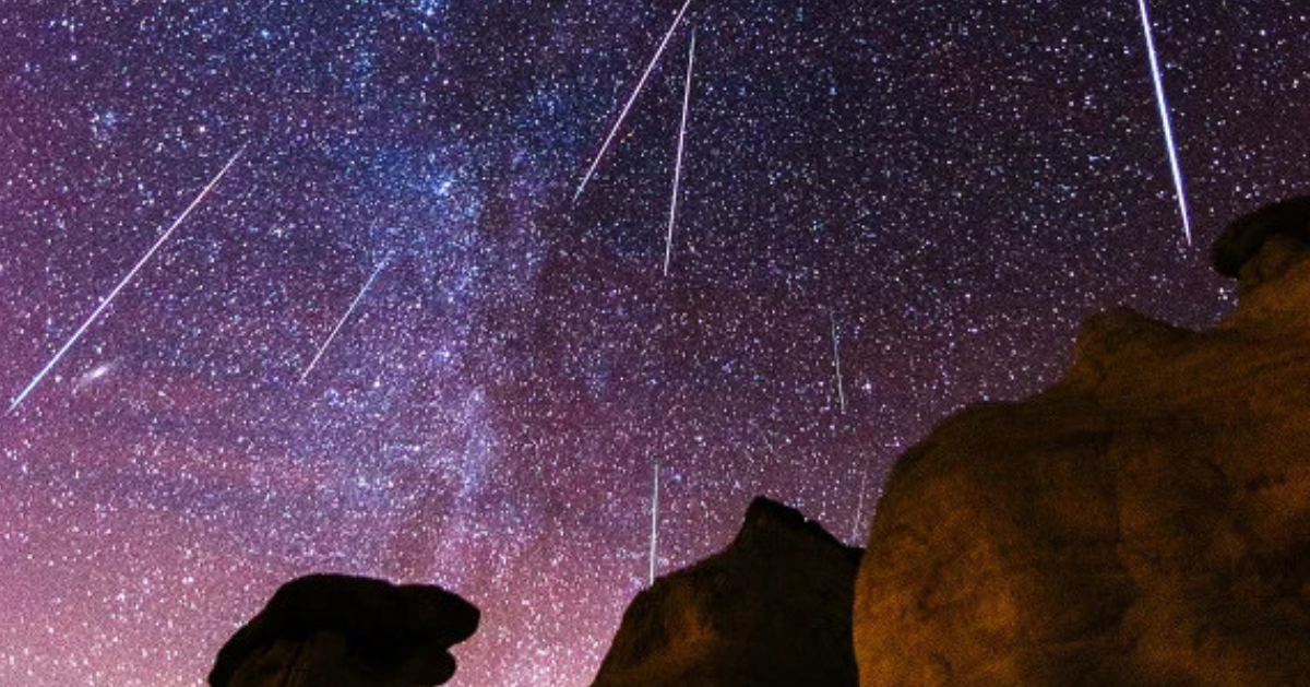 Foto: Scientific American